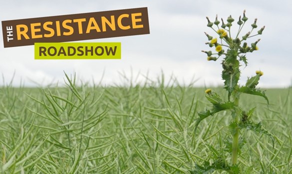 Resistance Roadshow 25